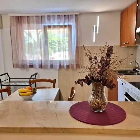 Apartment Beakovic